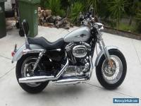 Harley Davidson XL 1200 C Sportster