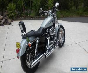 Motorcycle Harley Davidson XL 1200 C Sportster for Sale