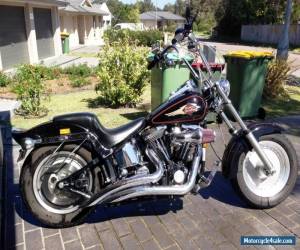 Motorcycle 1995 Harley Davidson FXSTC for Sale