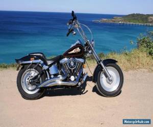 Motorcycle 1995 Harley Davidson FXSTC for Sale