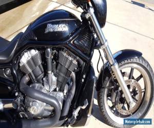 Motorcycle 2006 Harley-Davidson VRSC for Sale