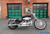 2006 Harley-Davidson Sportster for Sale