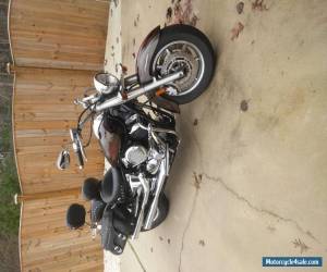 Motorcycle 2003 Yamaha V Star for Sale