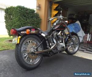 Motorcycle 1986 Harley-Davidson Softail for Sale