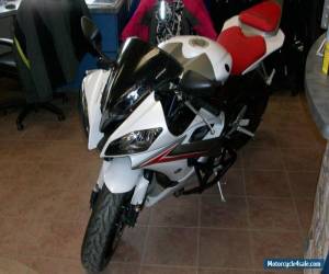 Motorcycle 2009 Yamaha YZF-R for Sale