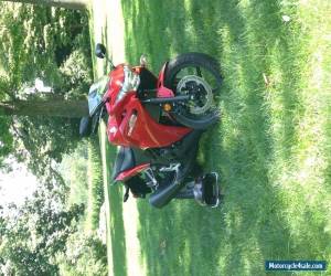 Motorcycle 2013 Honda CBR for Sale