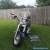 2004 Harley-Davidson Softail for Sale