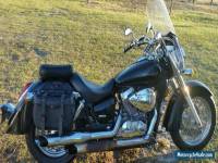 2005 Honda Shadow