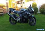 YAMAHA YZF R6 2005 for Sale