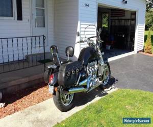 Motorcycle 2005 Triumph Rocket III for Sale