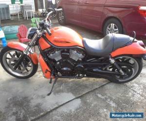 Motorcycle 2004 Harley-Davidson VRSC for Sale