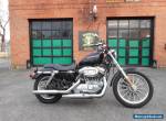 2006 Harley-Davidson Sportster for Sale