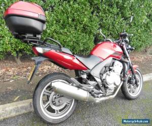 Motorcycle HONDA CBF 600 RED 2008 / 08 * TOP BOX * PART EXCHANGE TO CLEAR * SEPT 2016 MOT for Sale