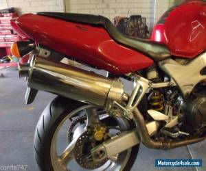 Motorcycle HONDA VTR 1000 FIRESTORM 1997 for Sale