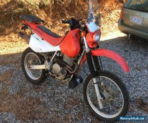 2005 Honda XR for Sale