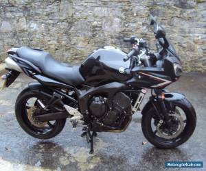 Motorcycle Fazer FZ6 Yamaha 600 2008 for Sale