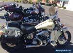 2001 Indian SCOUT for Sale