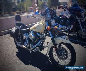 Motorcycle 2001 Indian SCOUT for Sale