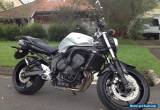 2008 Yamaha FZ6N for Sale