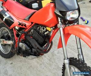 Motorcycle honda xr500r for Sale