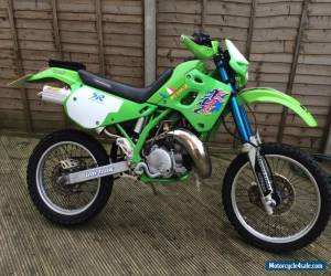 Motorcycle Kawasaki KDX250SR F2 kdx 250 sr 1992 japan import mot sept 2016 8721 miles for Sale