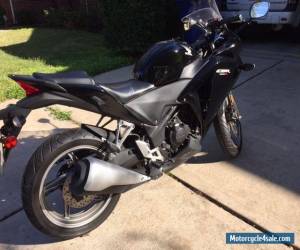 2012 Honda CBR for Sale