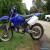 Yz 250 2004 for Sale