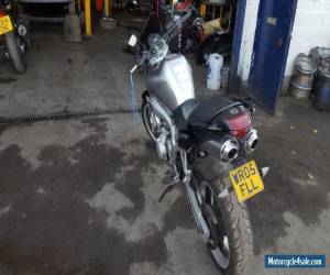 Motorcycle 2005 (05) Yamaha FZ6 N 600cc 12 MOT for Sale