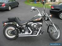 1998 Harley-Davidson Softail