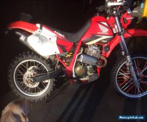 Motorcycle 1999 HONDA XR 400 ENDURO BIKE VERY GOOD CONDITION. 7 MONTHS FULL MOT. Green Lane for Sale