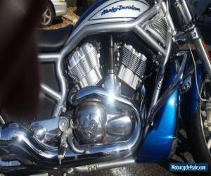 Motorcycle 2006 Harley-Davidson VRSC for Sale