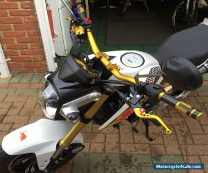 Motorcycle Honda MSX 125 for Sale