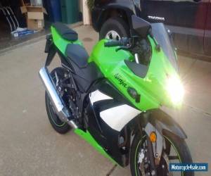 Motorcycle 2009 Kawasaki Ninja for Sale