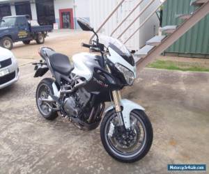 Motorcycle benelli motorcycle for Sale