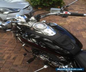 Motorcycle 2009 Yamaha V-Star 650 for Sale