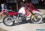 2006 Kawasaki KLR for Sale