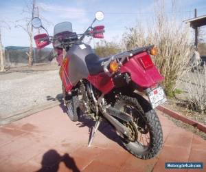 Motorcycle 2006 Kawasaki KLR for Sale