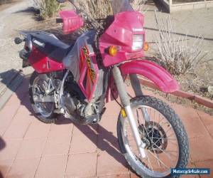 Motorcycle 2006 Kawasaki KLR for Sale