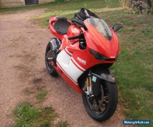 Motorcycle 2009 Ducati Superbike for Sale