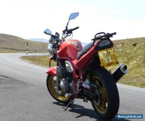 1998 SUZUKI BANDIT GSF 600 W ORANGE for Sale