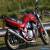 1998 SUZUKI BANDIT GSF 600 W ORANGE for Sale