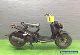 Honda Ruckus Zoomer 50 for Sale