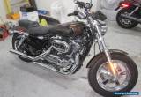 Harley-Davidson : Other for Sale