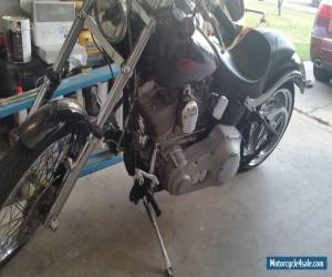 Motorcycle 2005 Harley-Davidson Softail for Sale