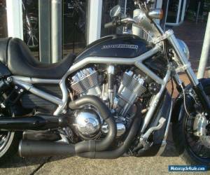 Motorcycle 2009 Harley-Davidson Vrscaw V-ROD 1250CC Cruiser for Sale