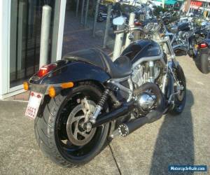 Motorcycle 2009 Harley-Davidson Vrscaw V-ROD 1250CC Cruiser for Sale