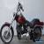 HARLEY DAVIDSON FXSTC SOFTAIL CUSTOM for Sale