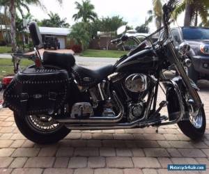 Motorcycle 2003 Harley-Davidson Softail for Sale