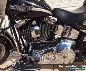 Motorcycle 2003 Harley-Davidson Softail for Sale