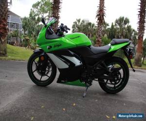 Motorcycle 2009 Kawasaki Ninja for Sale